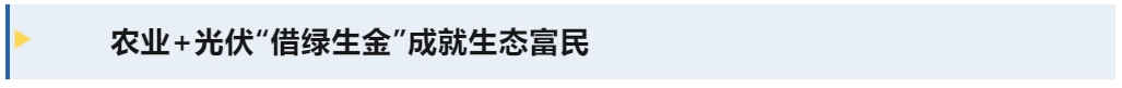 1730095698823063929.png 標(biāo)題3.png